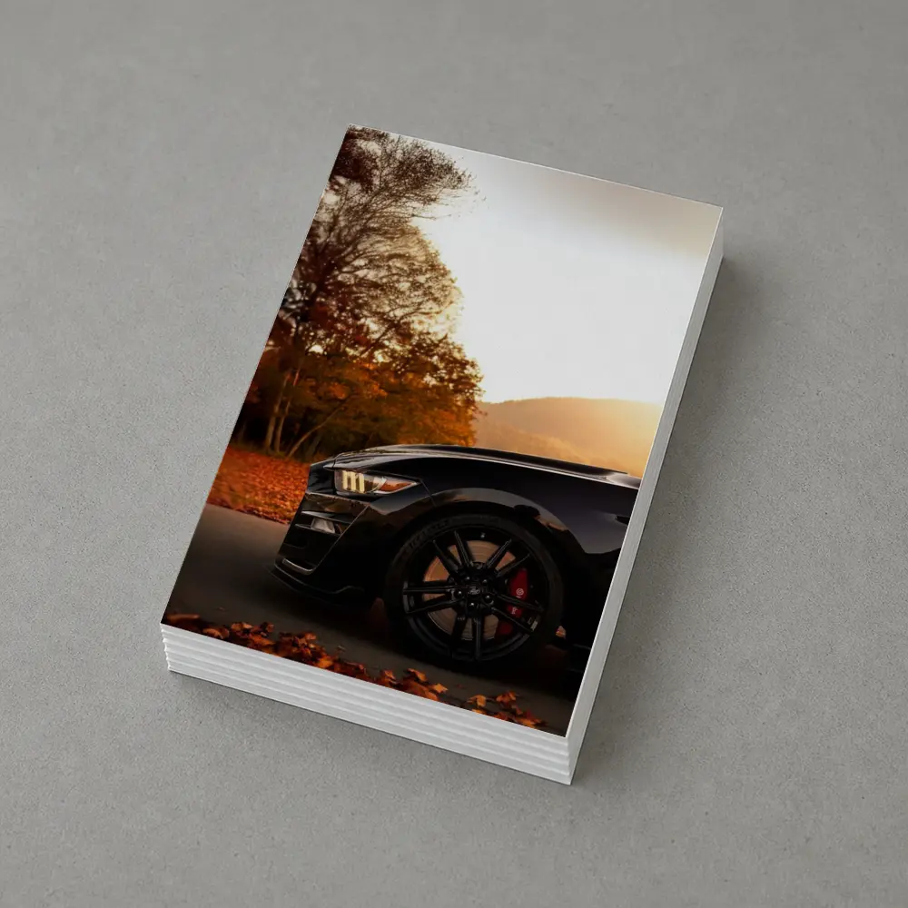 Black Ford Mustang Autumn Sunset Mountain – Postcards