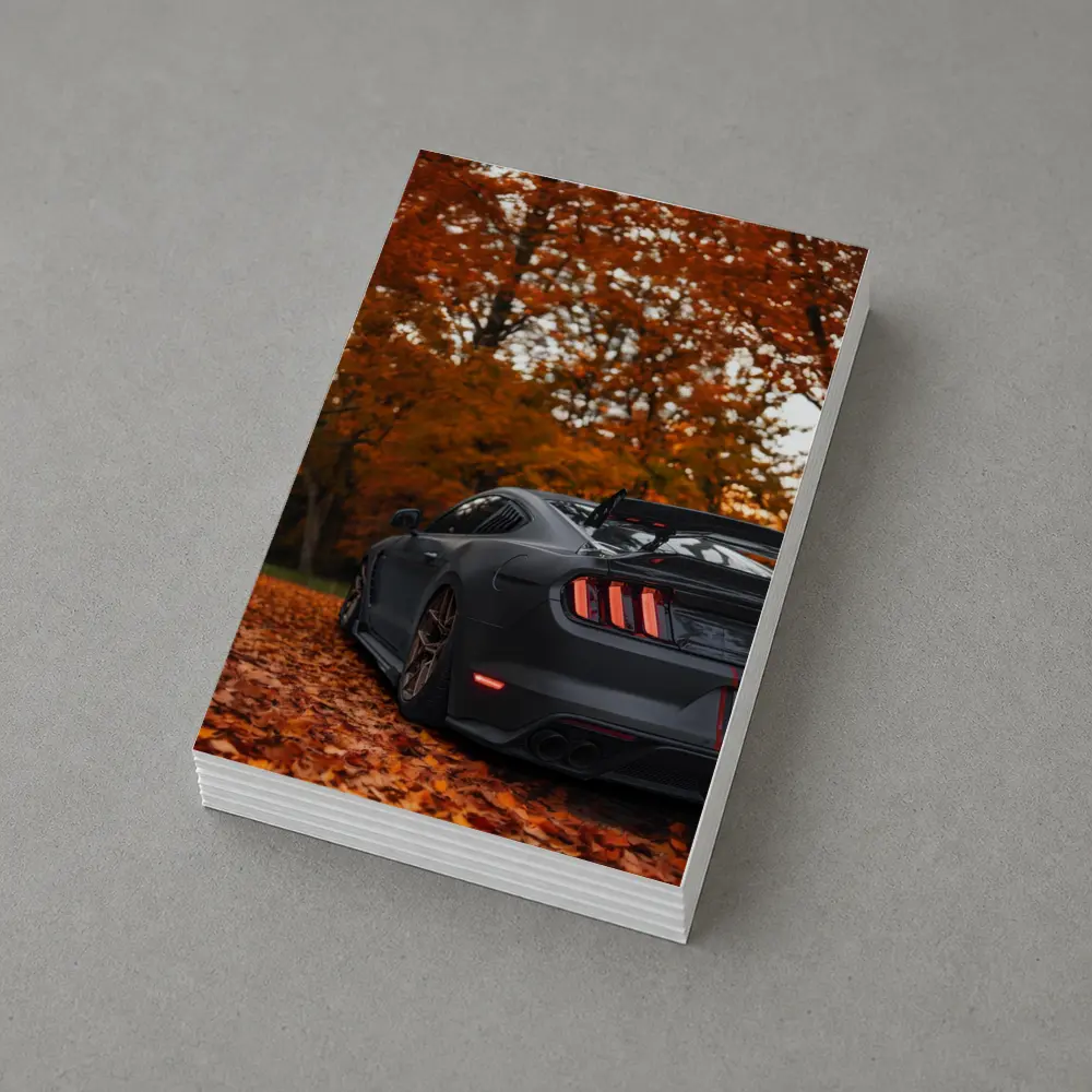 Ford Mustang Matte Gray Autumn Forest – Postcards