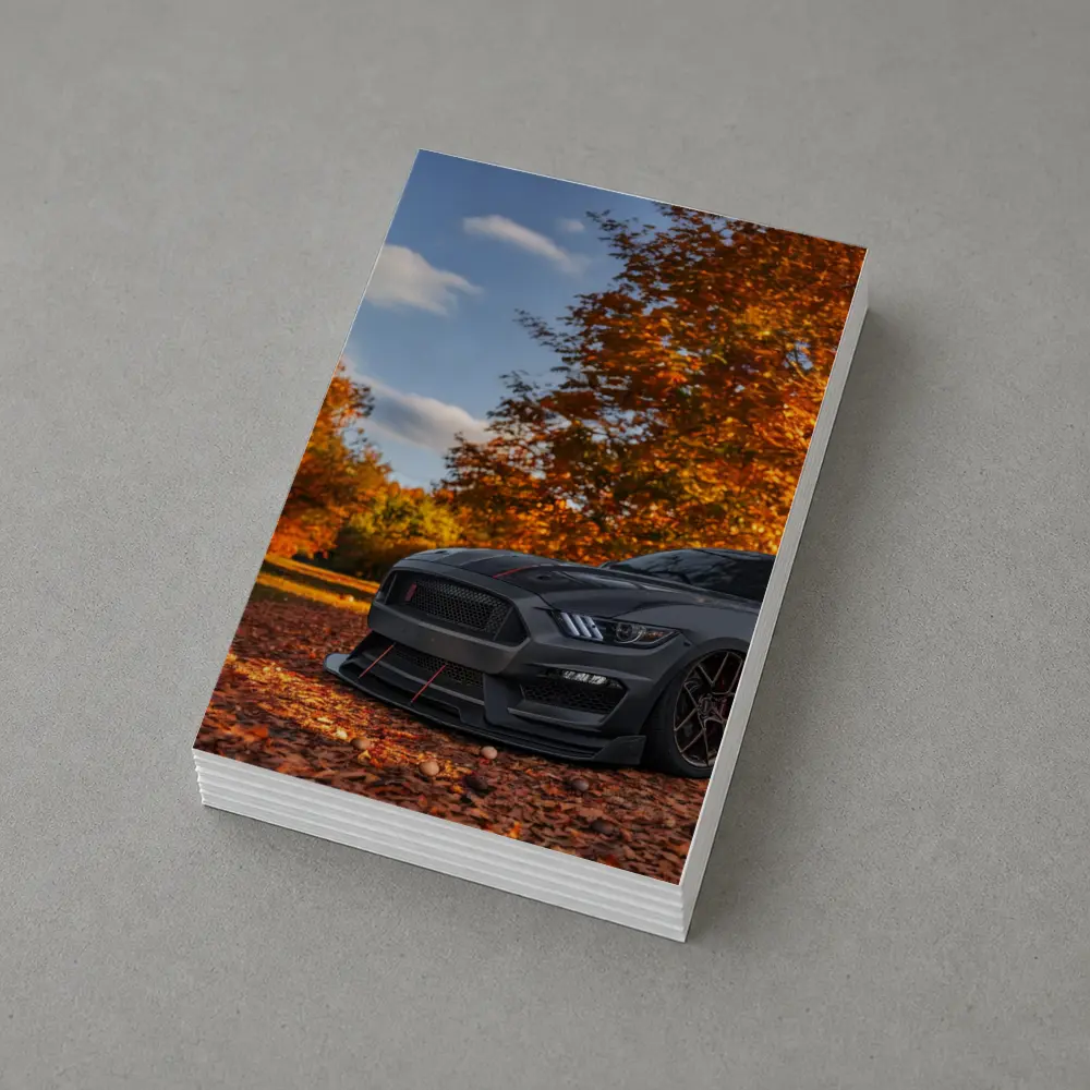 Ford Mustang GT350 Autumn Forest Setting – Postcards