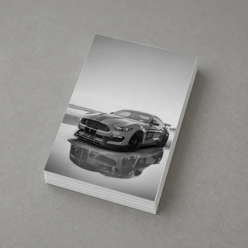 Ford Mustang Shelby GT350 Beach Black White – Postcards