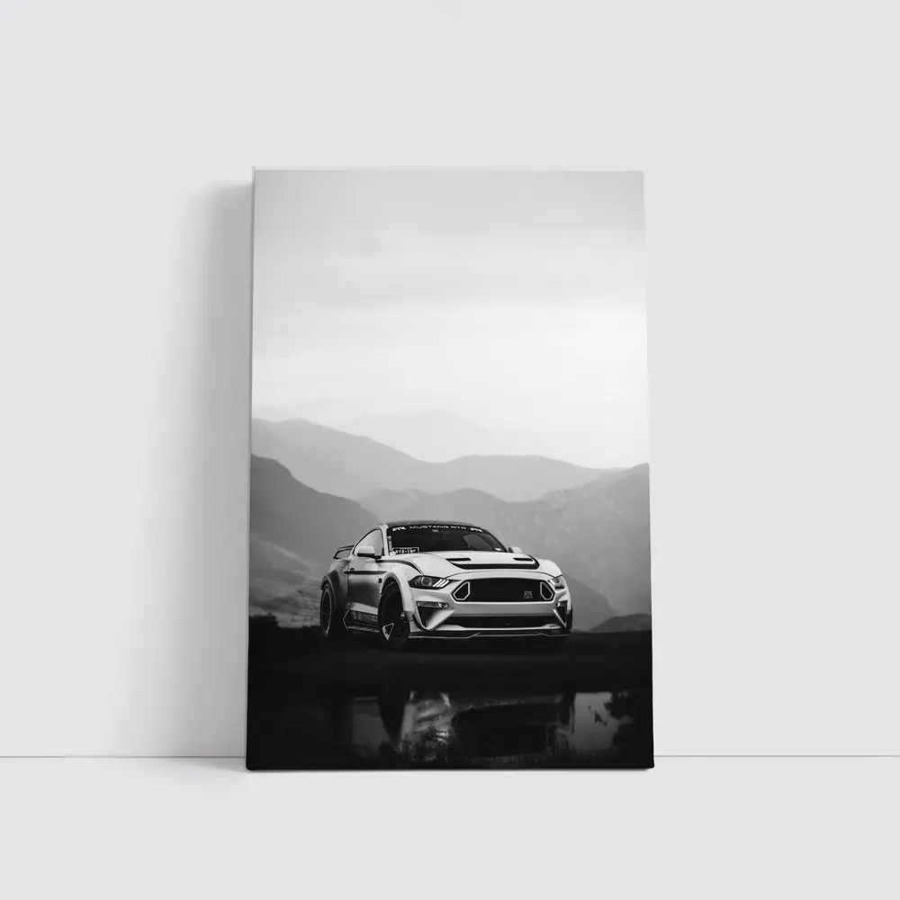 Ford Mustang RTR Black White Mountain Backdrop – Wall Art