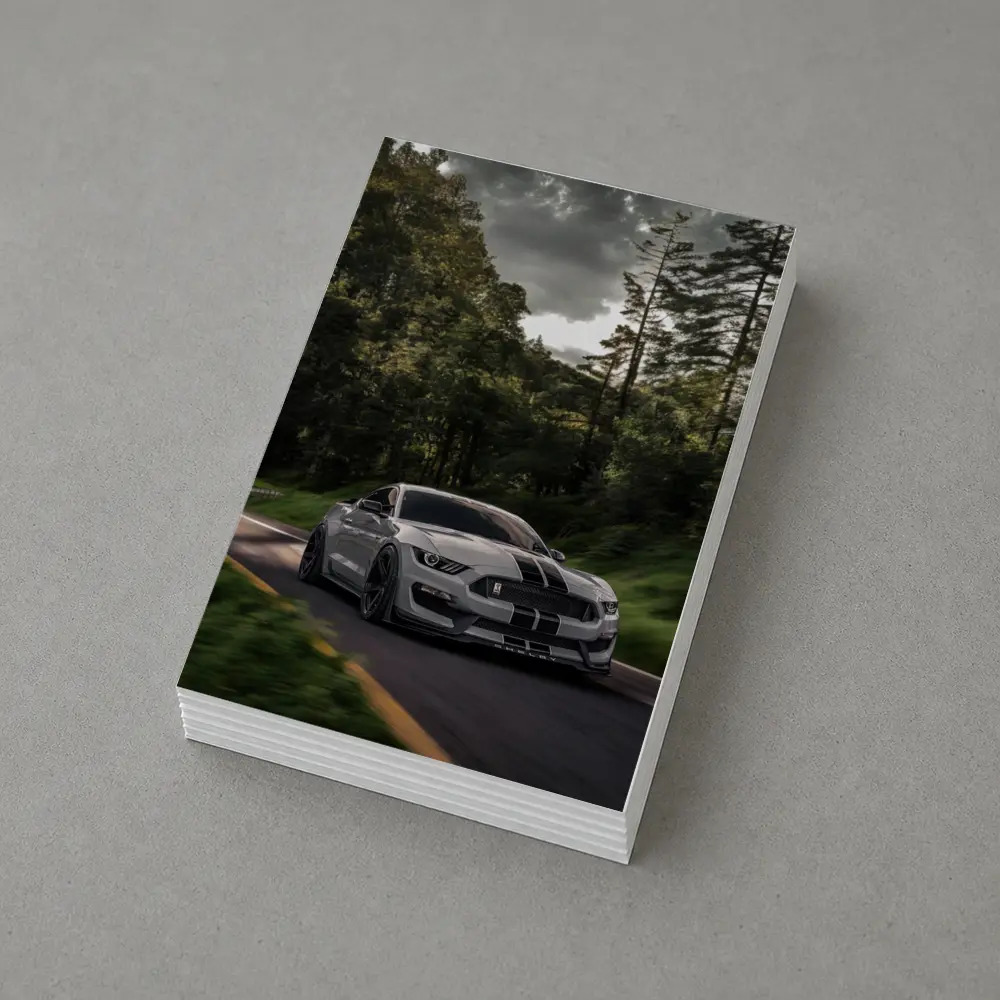 Ford Mustang Shelby GT350 Forest Road – Postcards