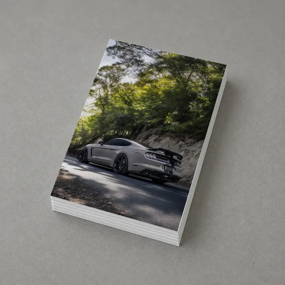 Ford Mustang Silver On Forest Road – Postcards