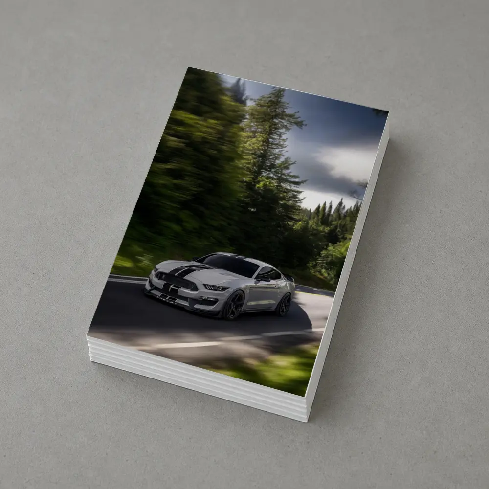 Ford Mustang Shelby GT350 Forest Road Drive – Postcards