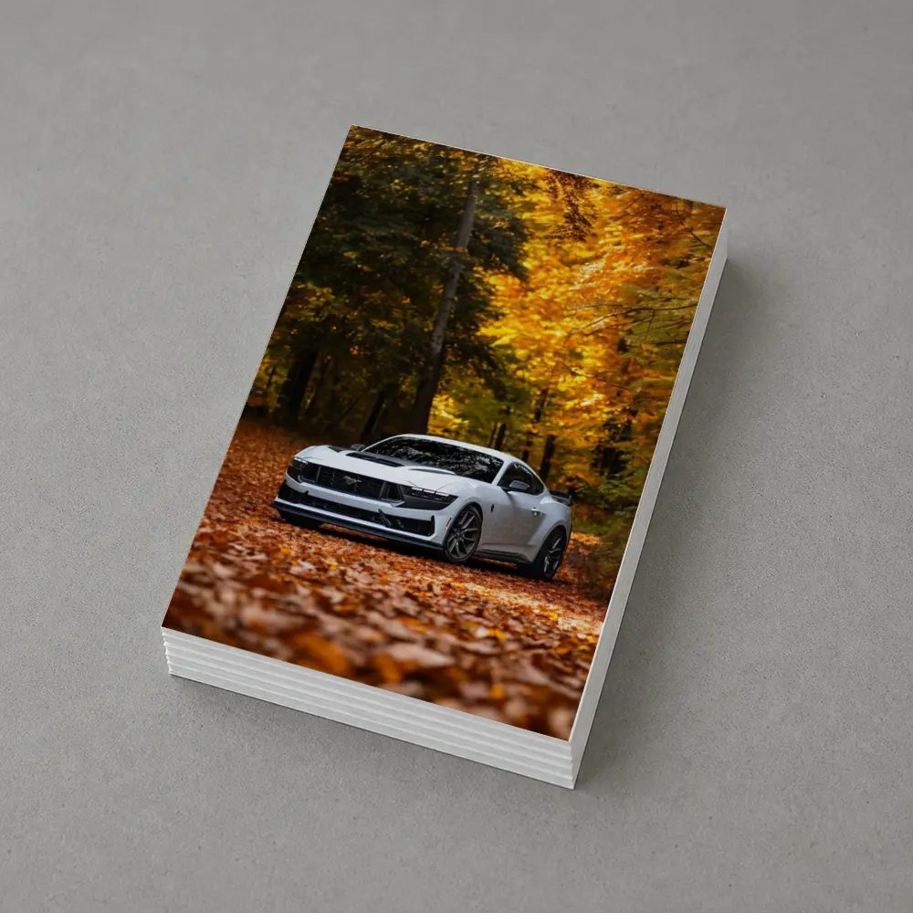 Ford Mustang White Car Autumn Forest – Postcards
