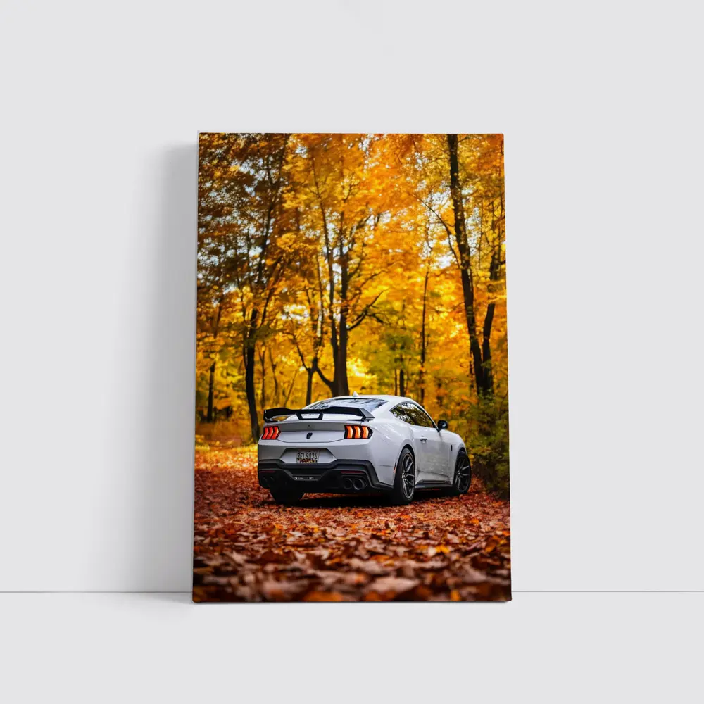 Ford Mustang White Car Autumn Forest – Wall Art