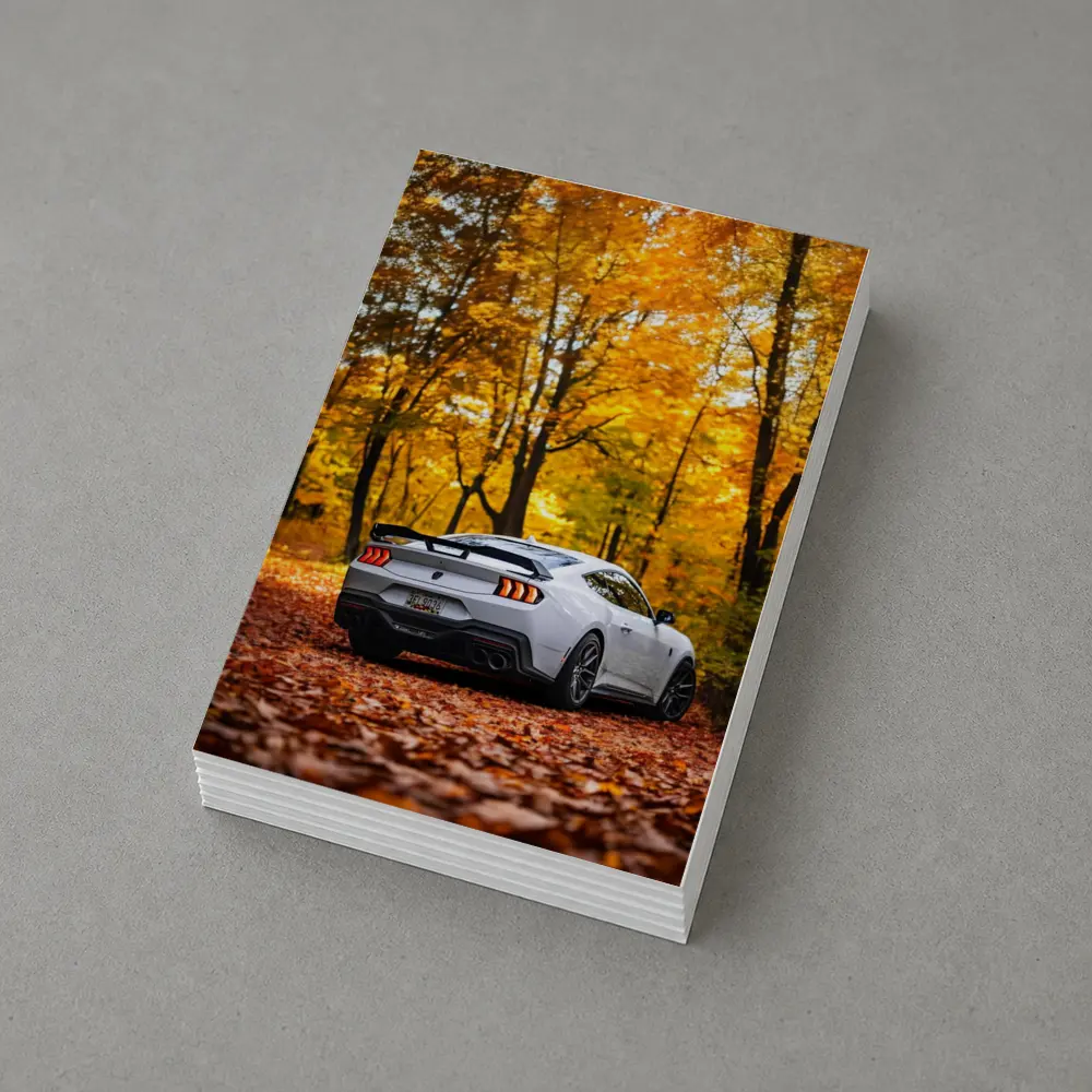 Ford Mustang White Car Autumn Forest – Postcards