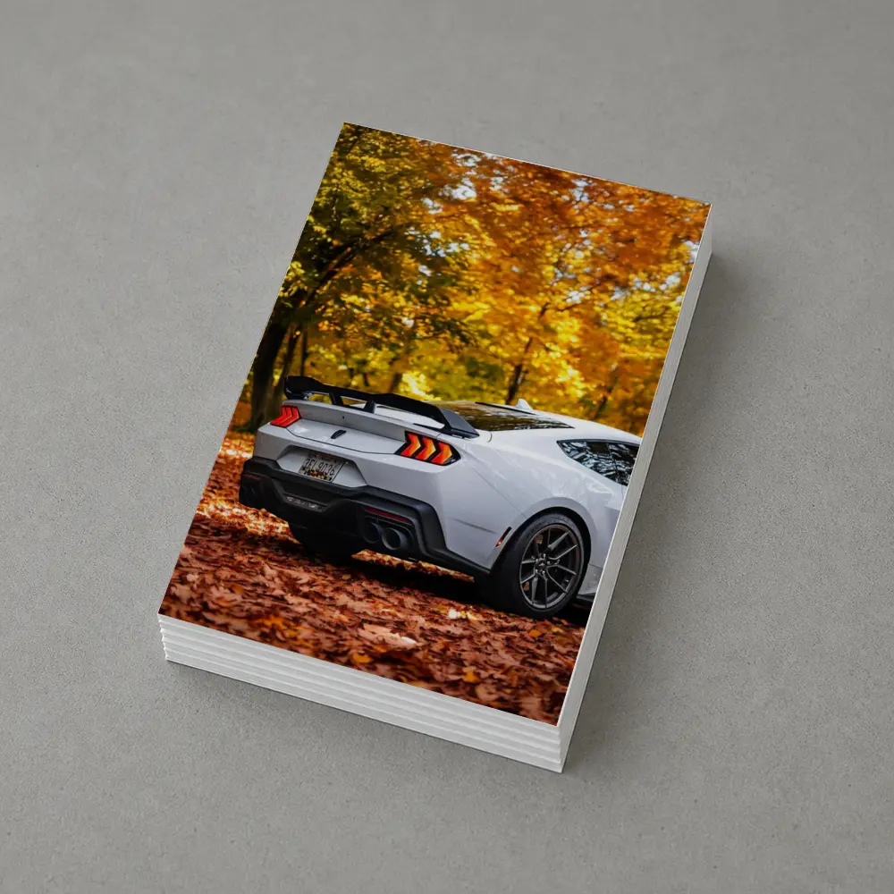Ford Mustang White Car Autumn Forest – Postcards