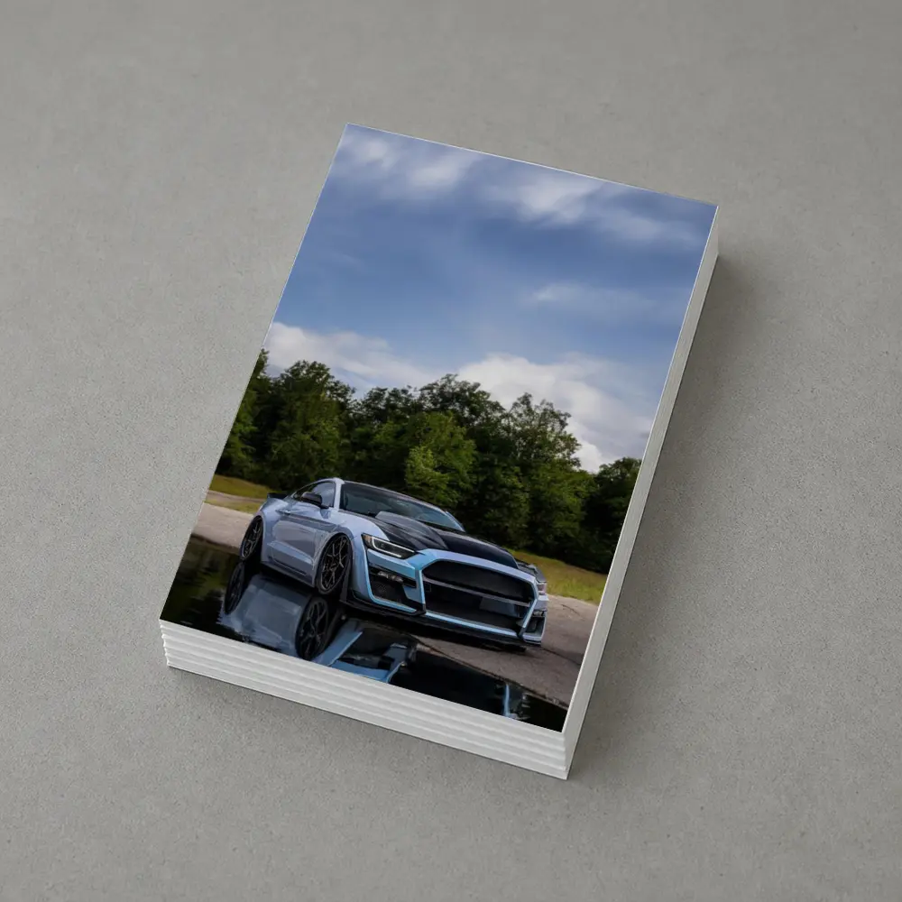 Ford Mustang GT500 Blue Sky Reflection – Postcards