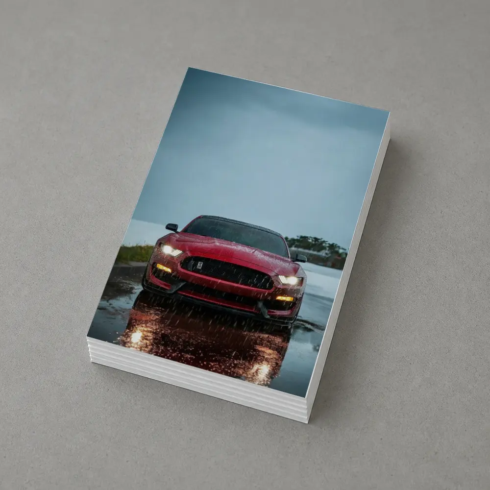 Red Ford Mustang Shelby Rain Wet Road – Postcards