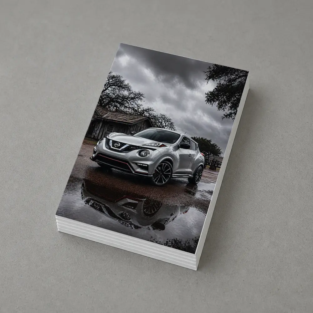 Nissan Juke Nismo Silver Rainy Rural Setting – Postcards