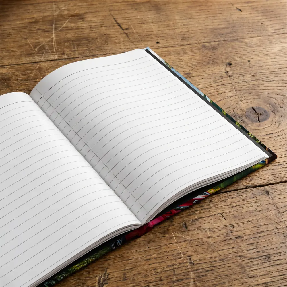 Nissan Sentra Red Sedan by Forest Lake – Notebooks