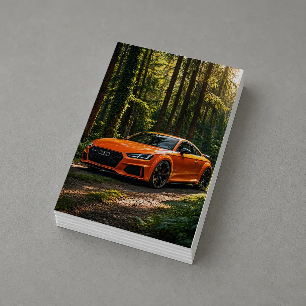 Audi TT RS Orange Forest Sunlight – Postcards