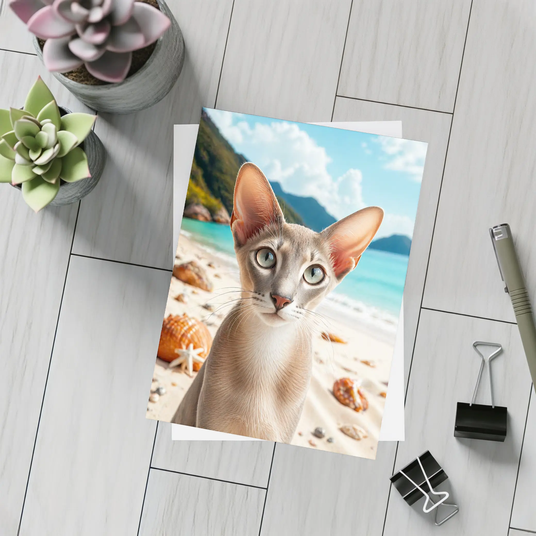 Oriental Shorthair Cat on Tropical Beach – Postcards