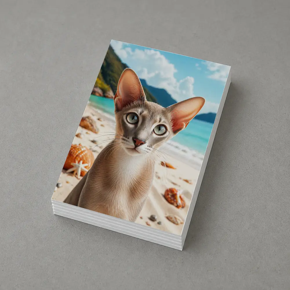 Oriental Shorthair Cat on Tropical Beach – Postcards