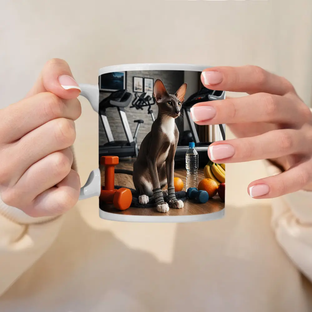 Oriental Shorthair Cat Gym Fitness Setting – Mugs