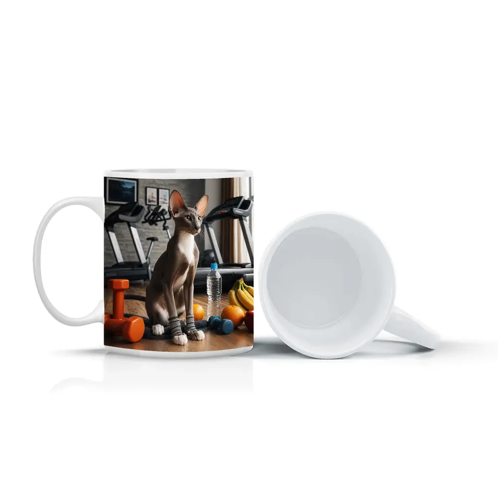 Oriental Shorthair Cat Gym Fitness Setting – Mugs