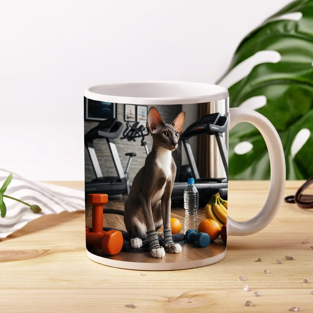 Oriental Shorthair Cat Gym Fitness Setting – Mugs
