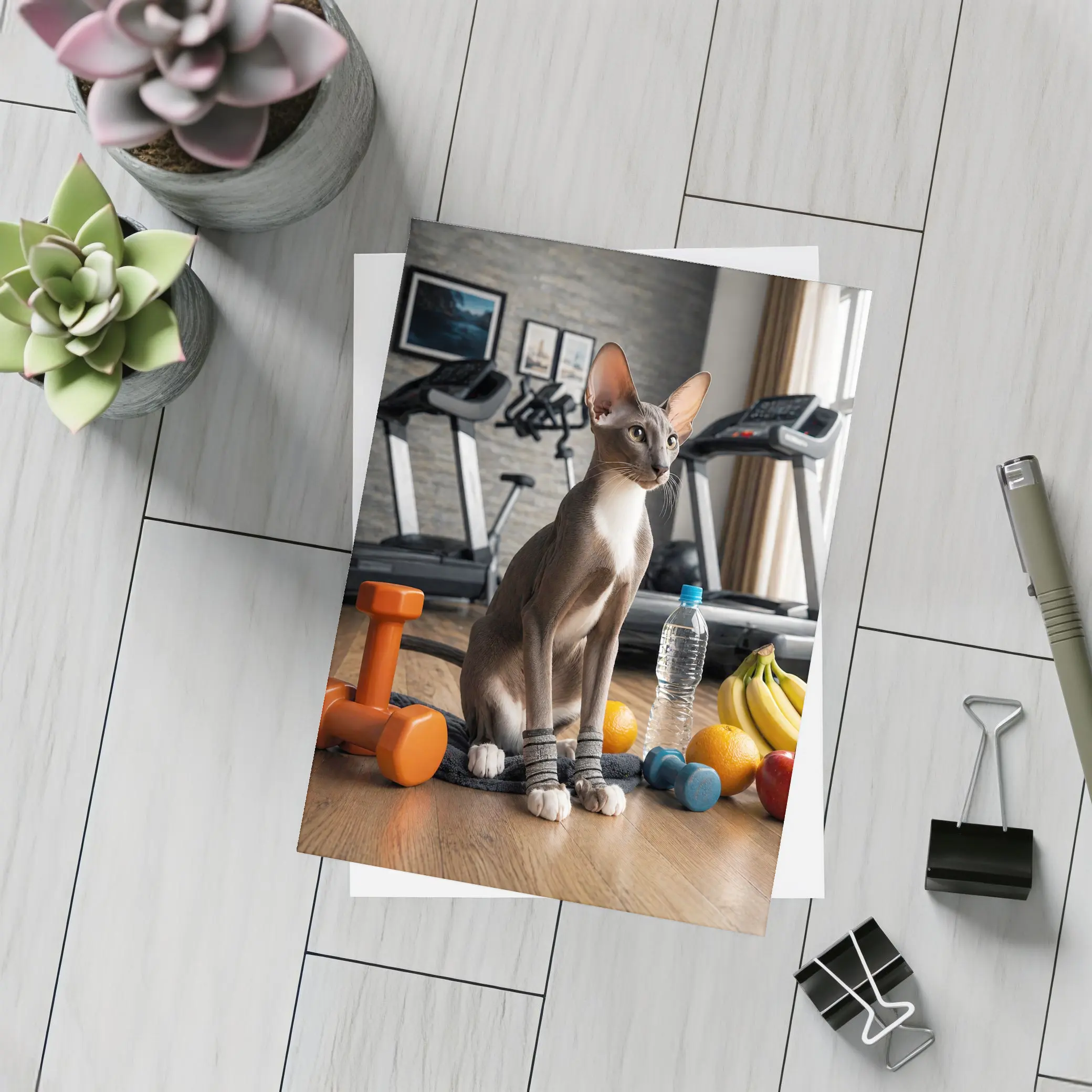 Oriental Shorthair Cat Gym Fitness Setting – Postcards