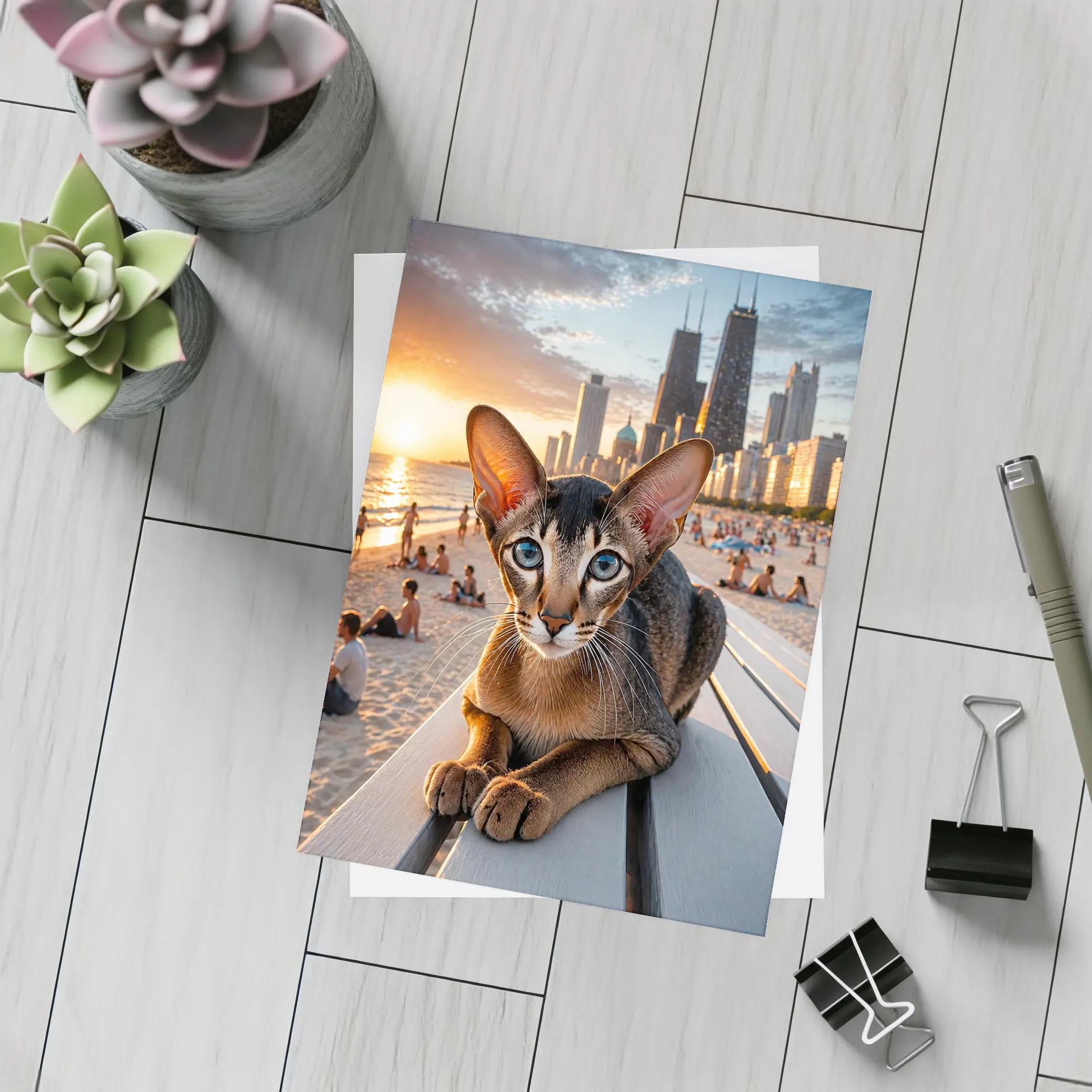 Abyssinian Cat Chicago Skyline Beach Sunset – Postcards