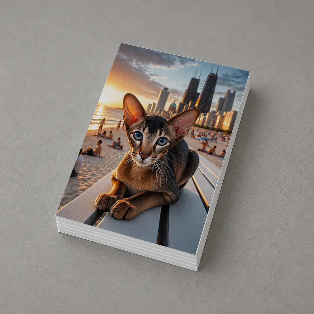 Abyssinian Cat Chicago Skyline Beach Sunset – Postcards