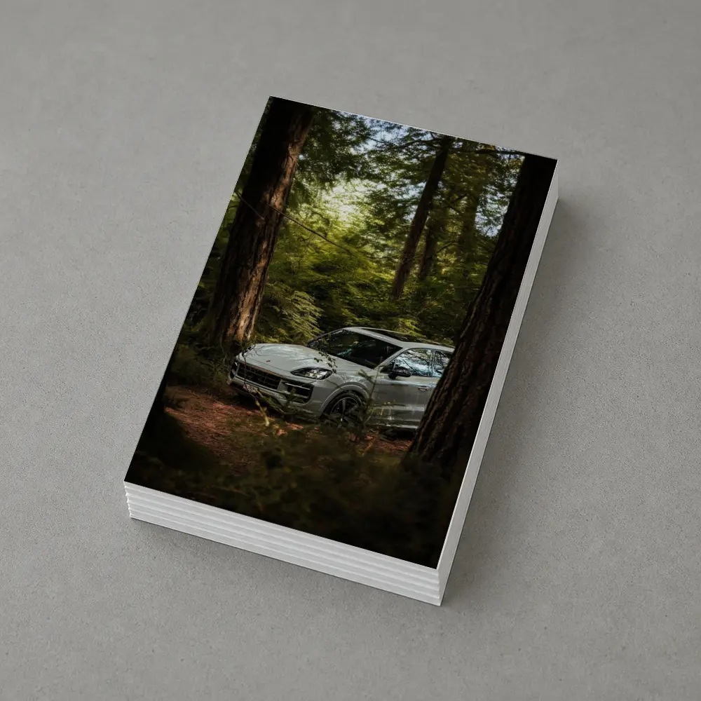 Porsche Cayenne S Silver Forest Trees – Postcards