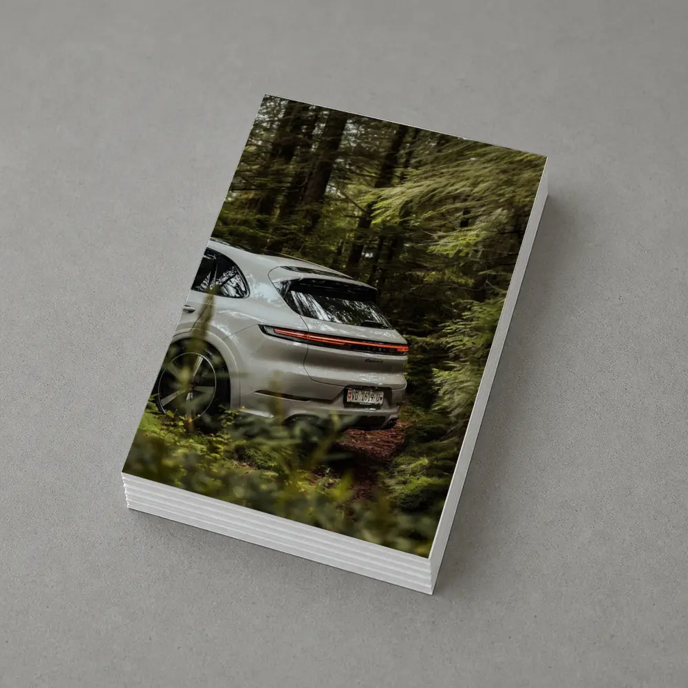 Porsche Cayenne Coupe Silver Forest Setting – Postcards