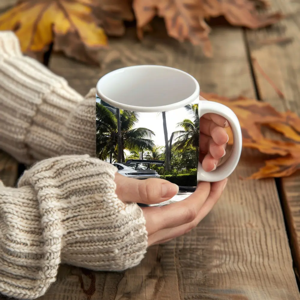 Porsche 911 GT3 RS Wet Palm Setting – Mugs