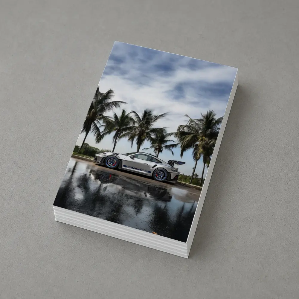 Porsche 911 GT3 RS Silver Palm Trees – Postcards