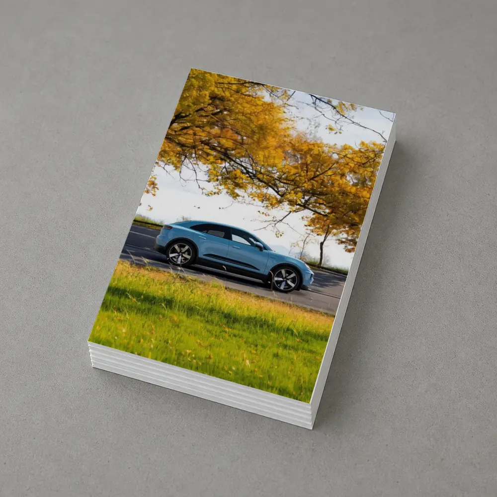 Porsche Macan Blue Side Profile Autumn Trees – Postcards