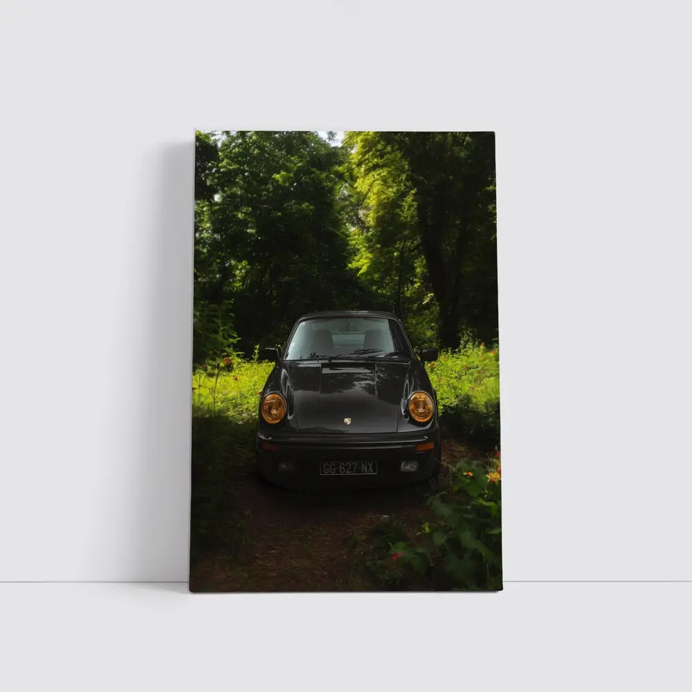 Black Porsche 911 Parked in Green Forest – Wall Art