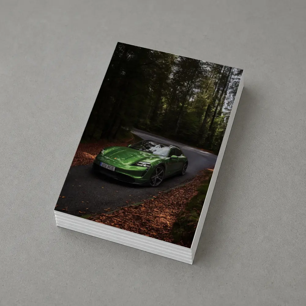 Porsche Taycan Green Forest Road Drive – Postcards