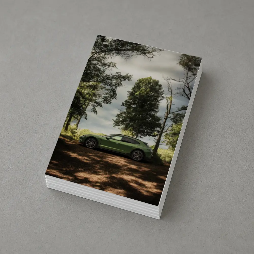 Porsche Taycan Green Forest Side Profile – Postcards