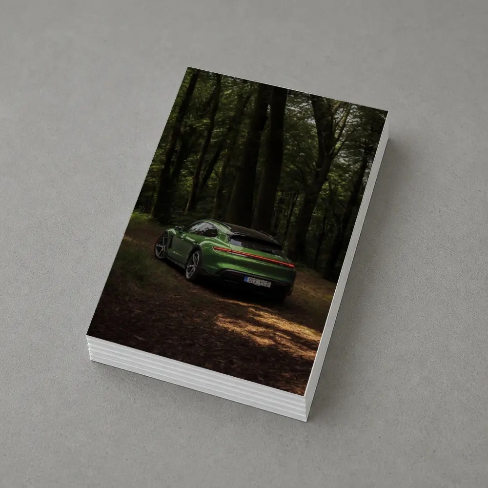 Porsche Taycan Green Forest Road Shot – Postcards