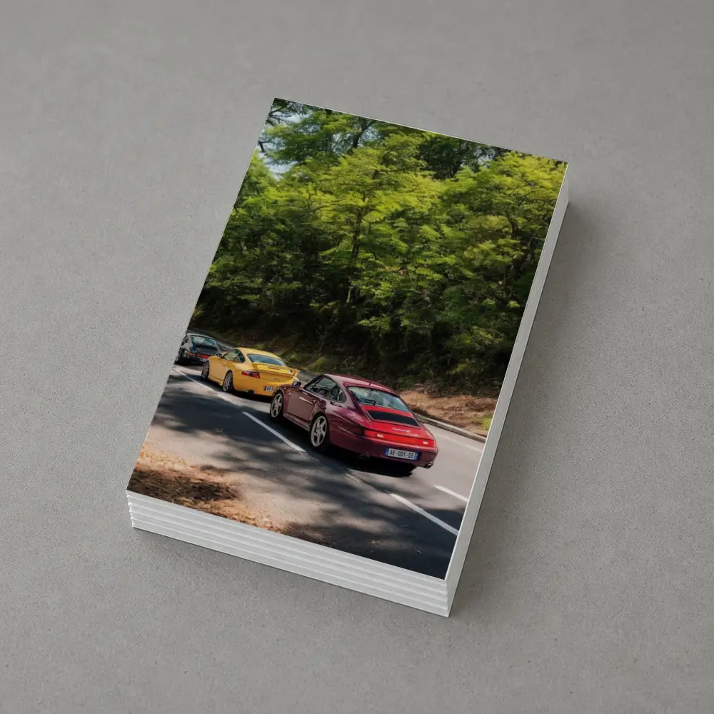 Porsche 911 Cars On Tree Lined Road – Postcards