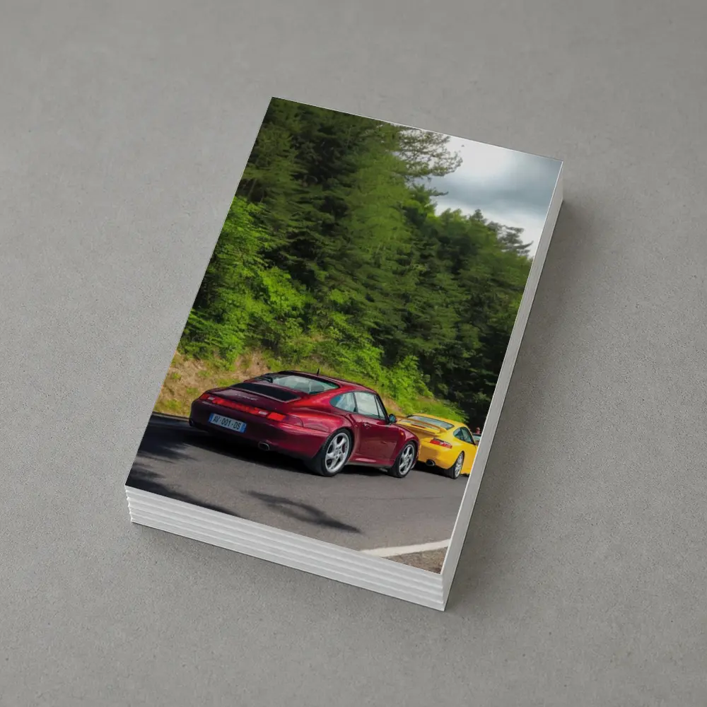 Porsche 911 Duo on Forest Road – Postcards