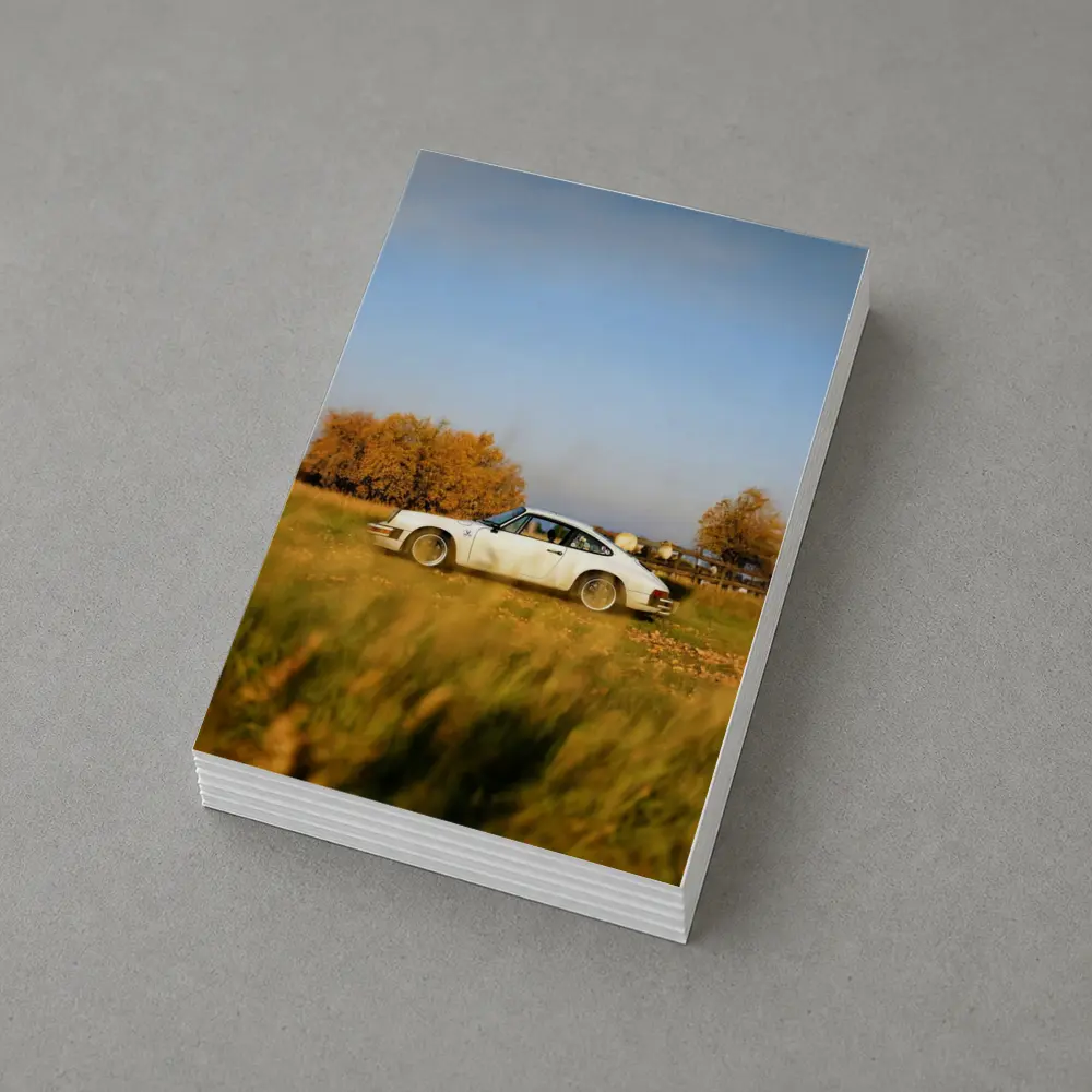 White Porsche 911 Parked in Autumn Field – Postcards