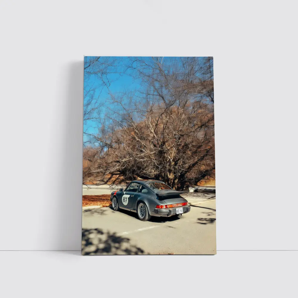 Porsche 911 Race Car Bare Winter Trees – Wall Art