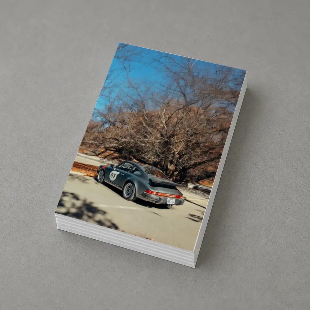 Porsche 911 Race Car Bare Winter Trees – Postcards