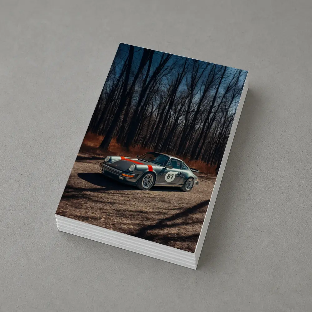 Porsche 911 Rally Car Bare Winter Forest – Postcards