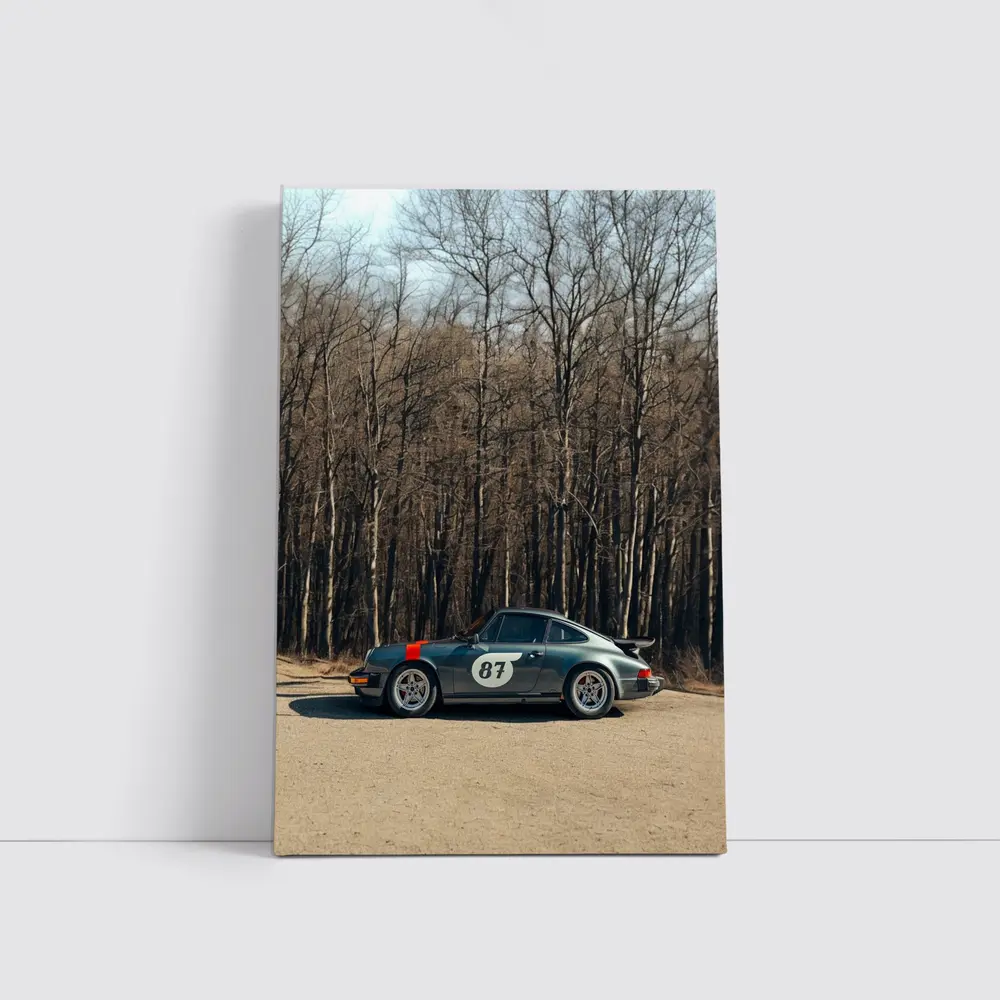 Porsche 911 Race Car Bare Winter Forest – Wall Art