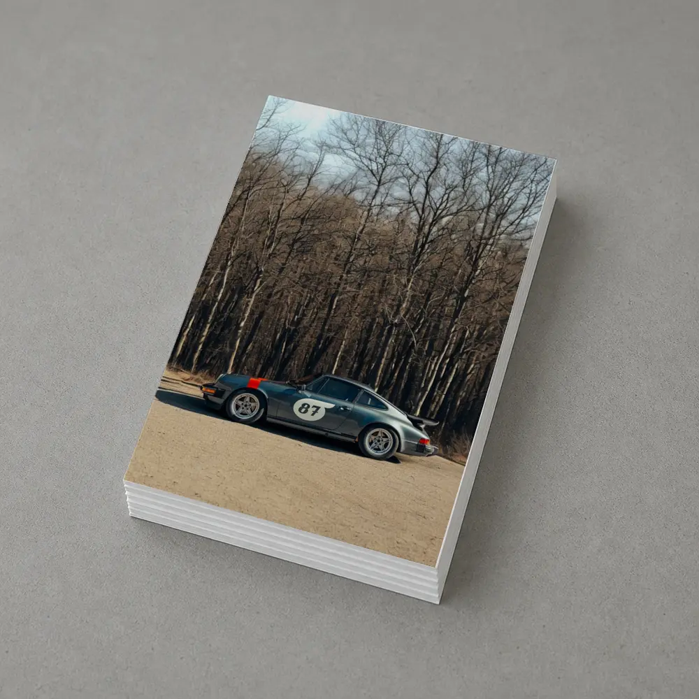 Porsche 911 Race Car Bare Winter Forest – Postcards