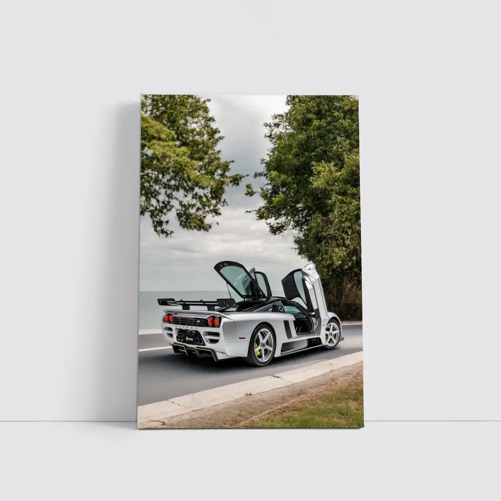 Saleen S7 Supercar Parked Near Coastal Road – Wall Art