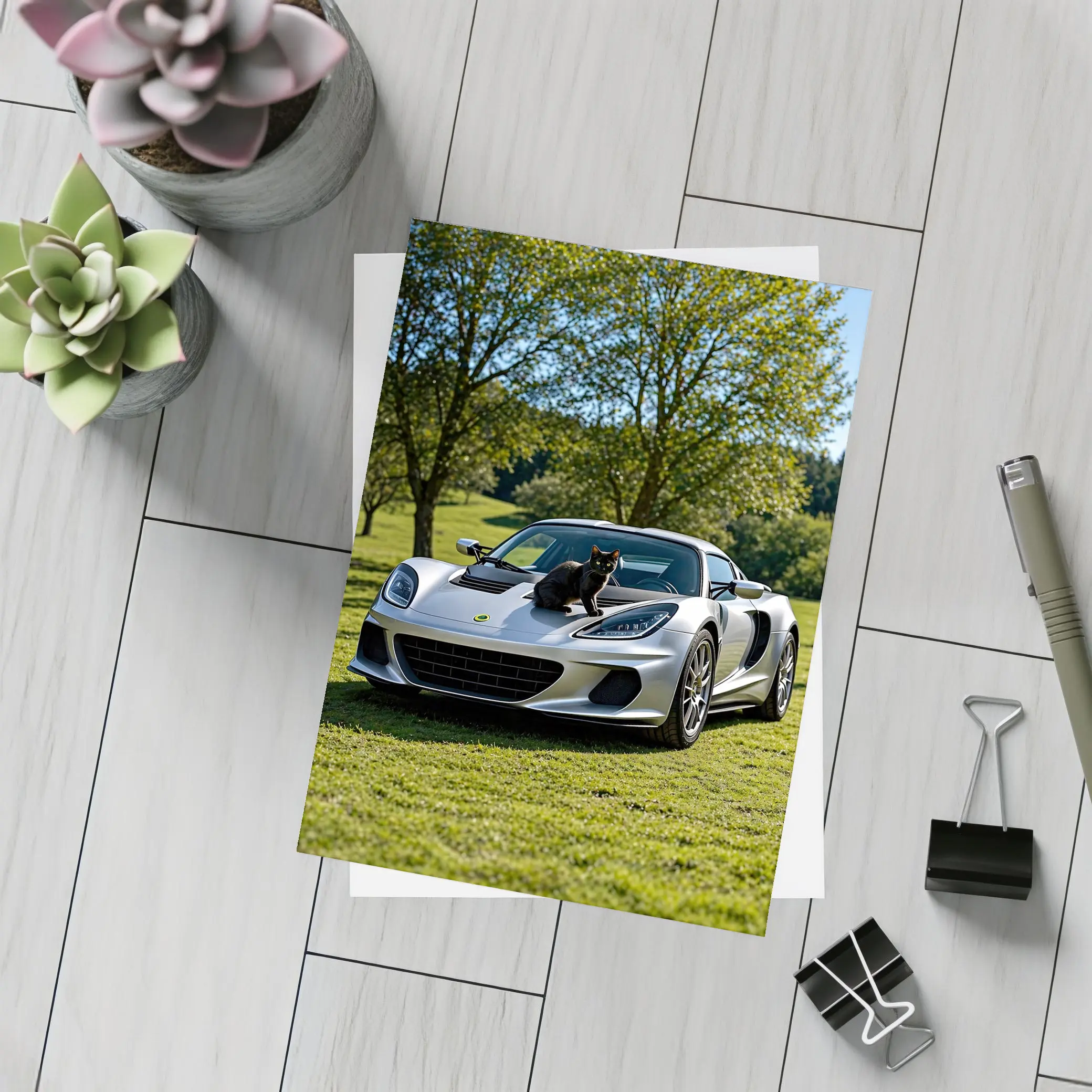 Silver Lotus Elise Black Cat Green Parkland – Postcards