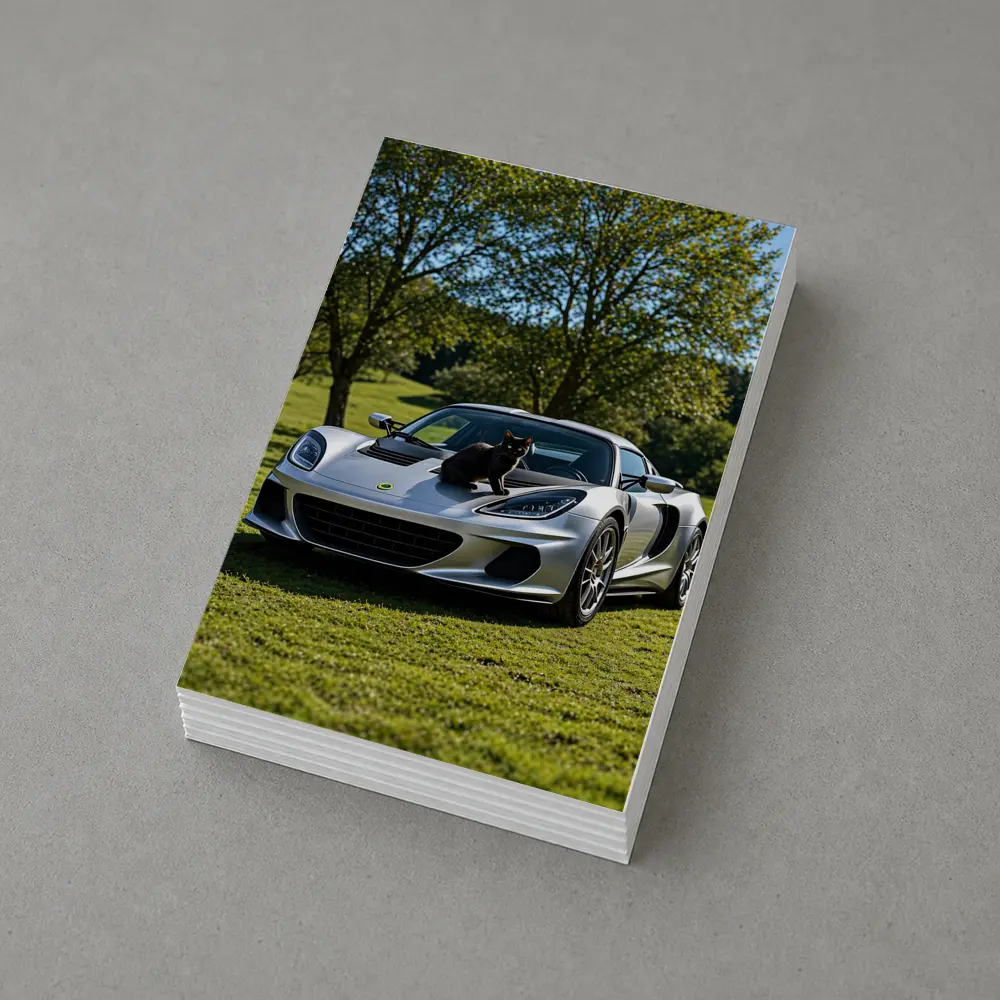 Silver Lotus Elise Black Cat Green Parkland – Postcards