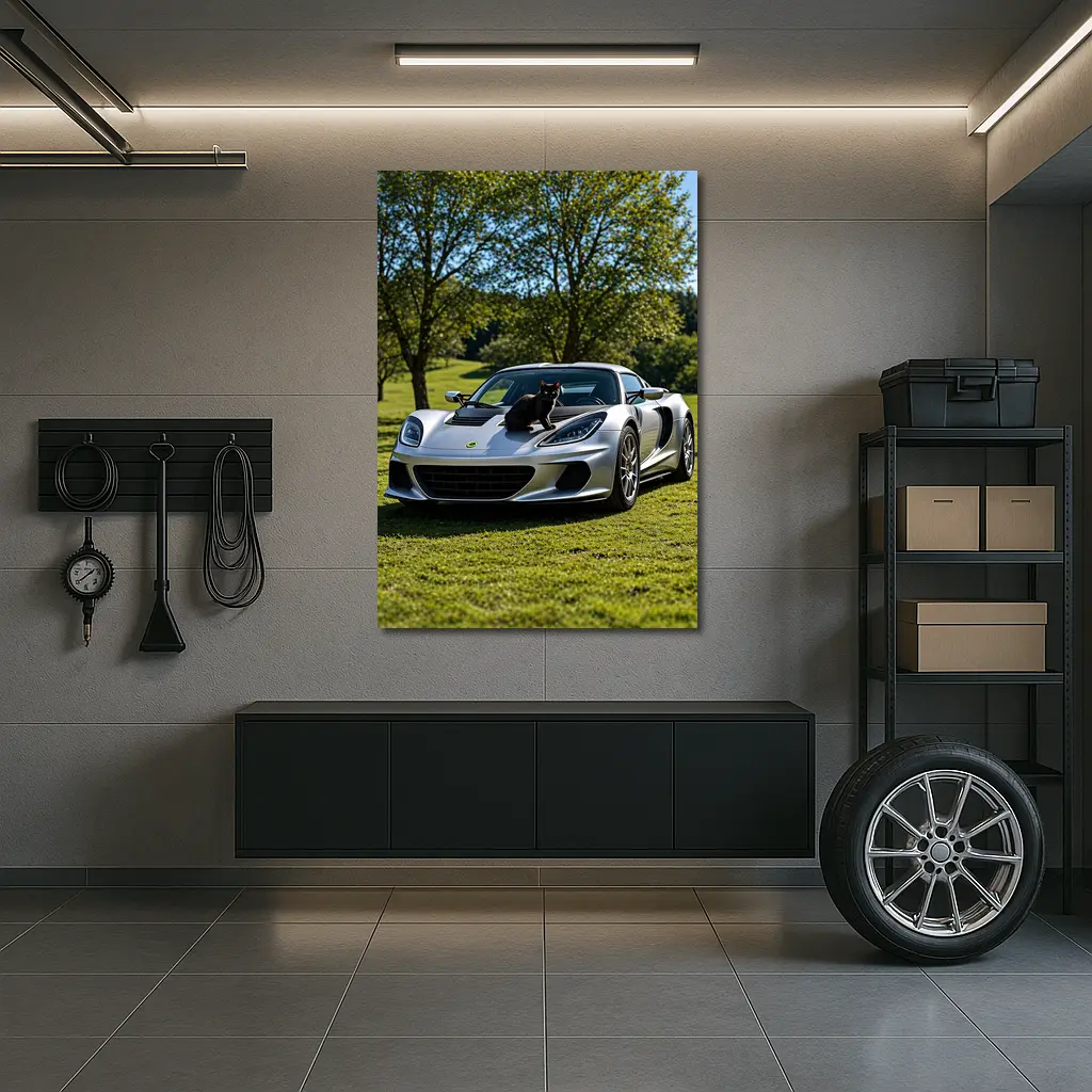 Silver Lotus Elise Black Cat Green Parkland – Wall Art