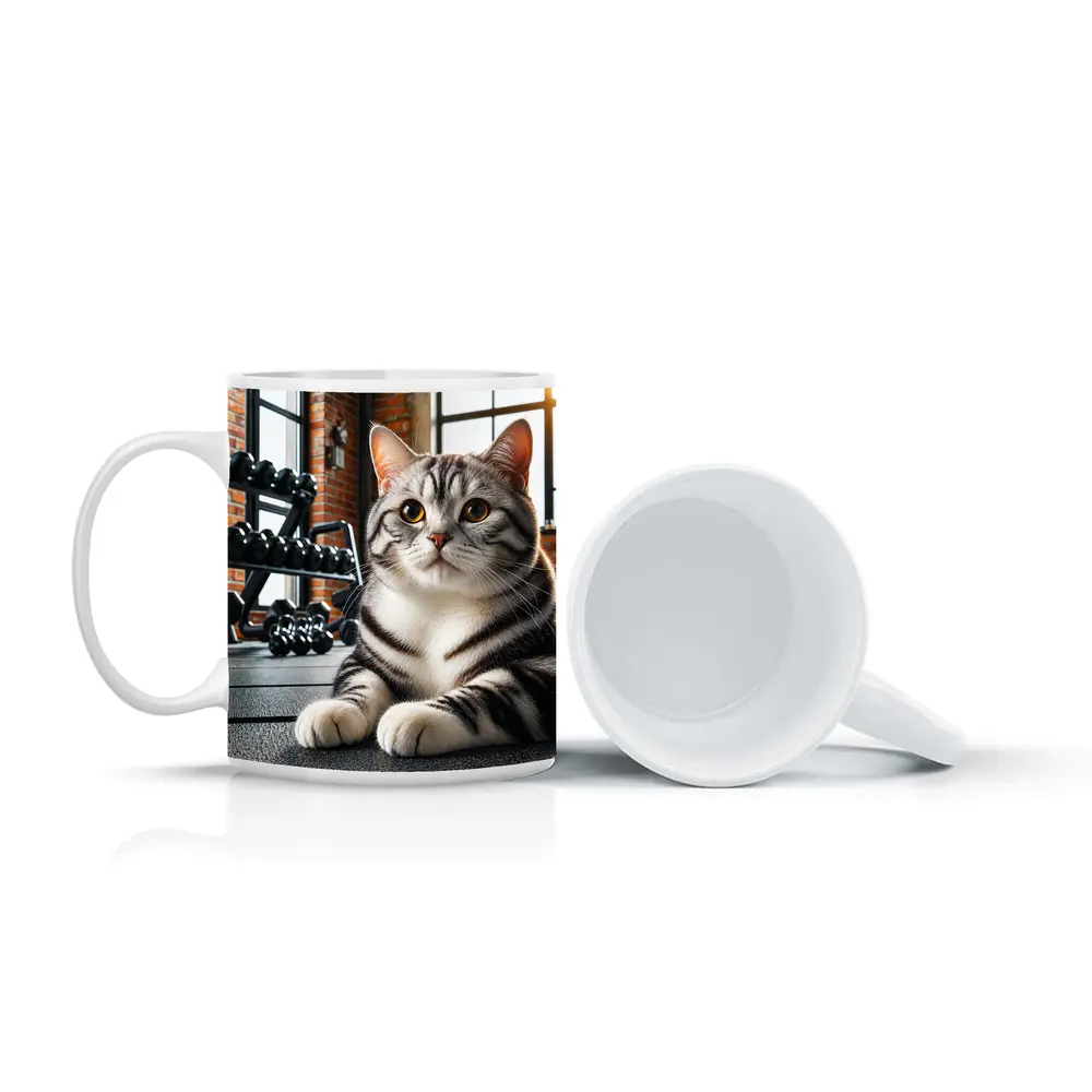 American Shorthair Cat Gym Fitness Setting – Mugs