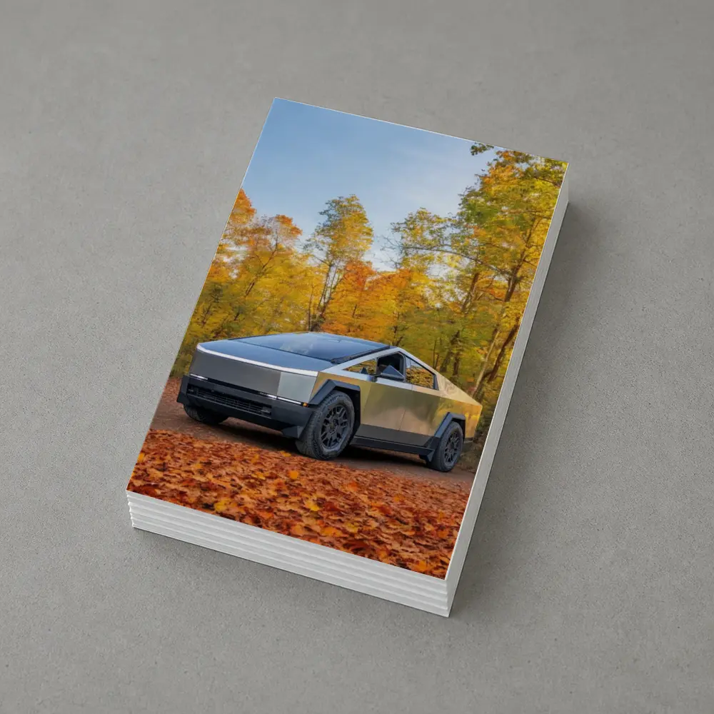 Tesla Cybertruck Parked Among Autumn Trees – Postcards