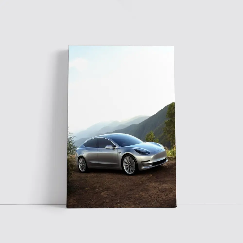 Tesla Model 3 Silver Mountain Scenic View – Wall Art