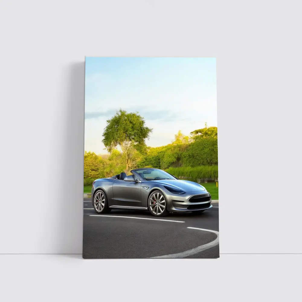 Tesla Roadster Convertible On Curvy Street – Wall Art
